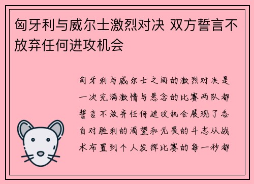 匈牙利与威尔士激烈对决 双方誓言不放弃任何进攻机会