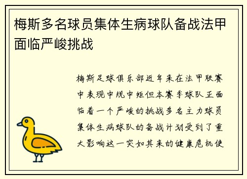 梅斯多名球员集体生病球队备战法甲面临严峻挑战