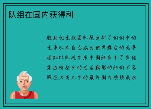 队组在国内获得利