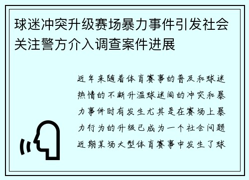 球迷冲突升级赛场暴力事件引发社会关注警方介入调查案件进展
